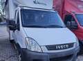 Iveco Daily Bianco - thumbnail 7