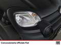 Fiat Panda 1.0 firefly hybrid cross s&s 70cv 5p.ti Nero - thumbnail 15