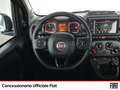 Fiat Panda 1.0 firefly hybrid cross s&s 70cv 5p.ti Nero - thumbnail 10