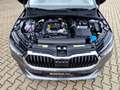 Skoda Fabia 1.0 TSI Selection DSG LED Sitzhzg. Klimaautomati Gris - thumbnail 15