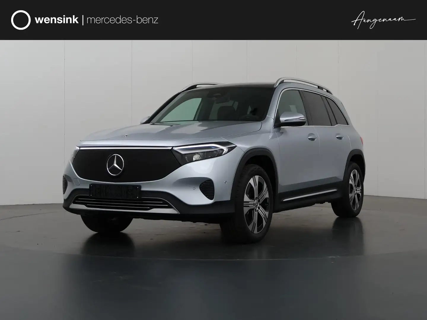 Mercedes-Benz EQB 250 250+ Luxury Line 71 kWh | Panoramdak | Sfeerverlic Zilver - 1
