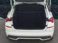 Skoda Kamiq 1.0TSI DSG Ambition+LED+VIRTUAL+PDC+SHZ+CarPlay Weiß - thumbnail 13
