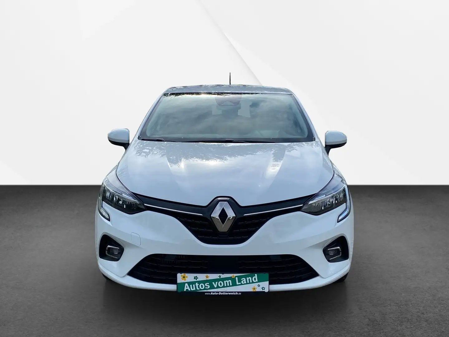 Renault Clio Business Edition tce 90 Navi, DAB, PDC Blanc - 2