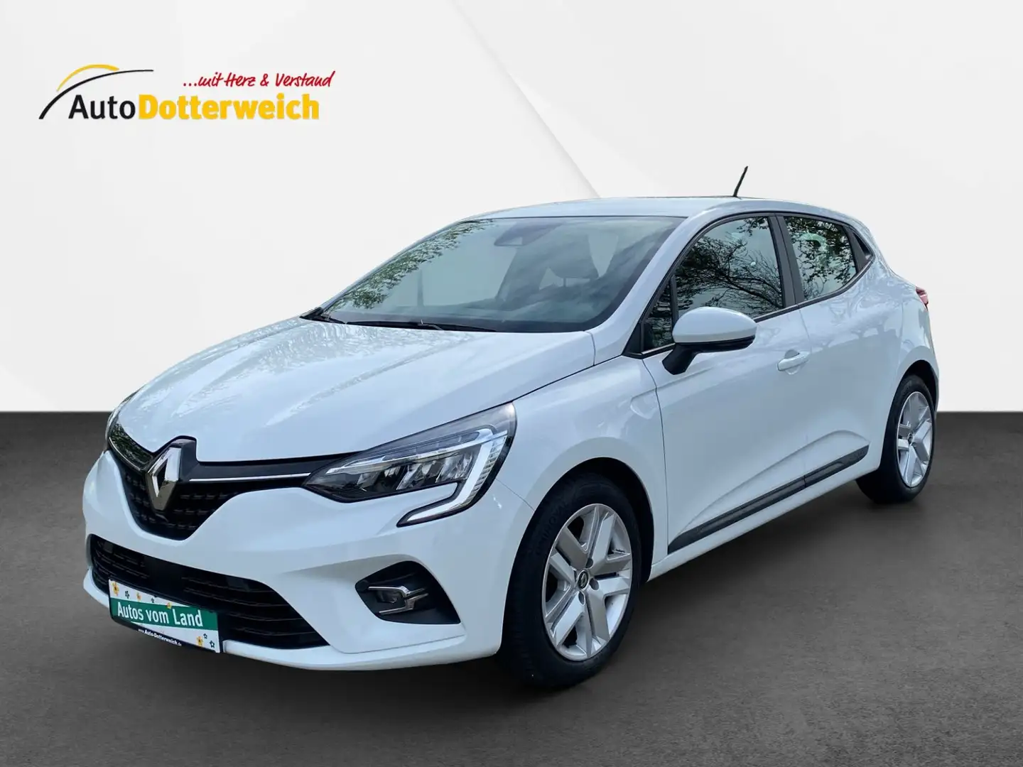 Renault Clio Business Edition tce 90 Navi, DAB, PDC Blanc - 1