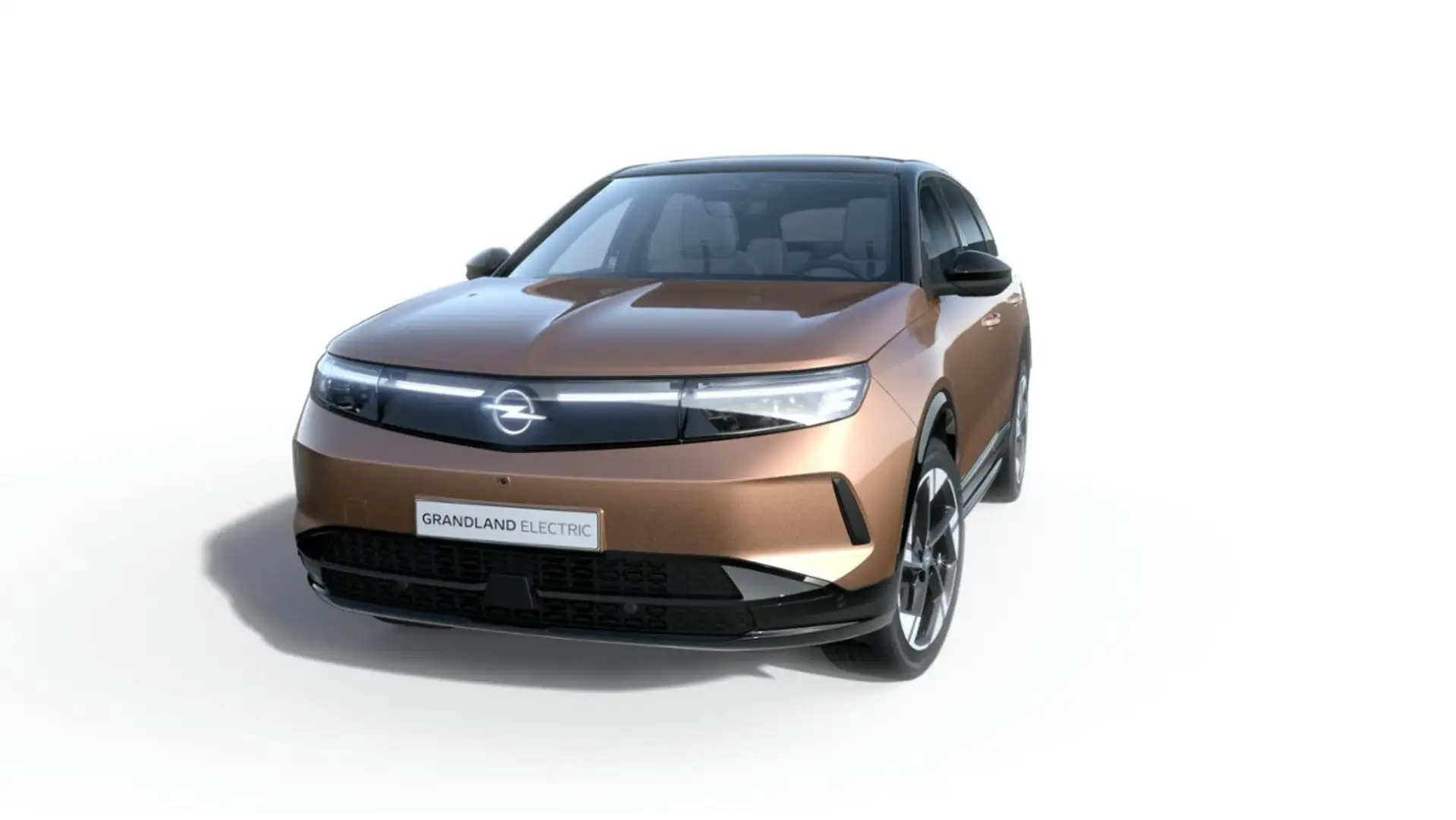 Opel Grandland Electric GS 73 kWh Batterie - 1