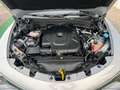 Alfa Romeo Stelvio 2.2 T.diesel 190 CV AT8 Q4 Ti - 2022 Grigio - thumbnail 29