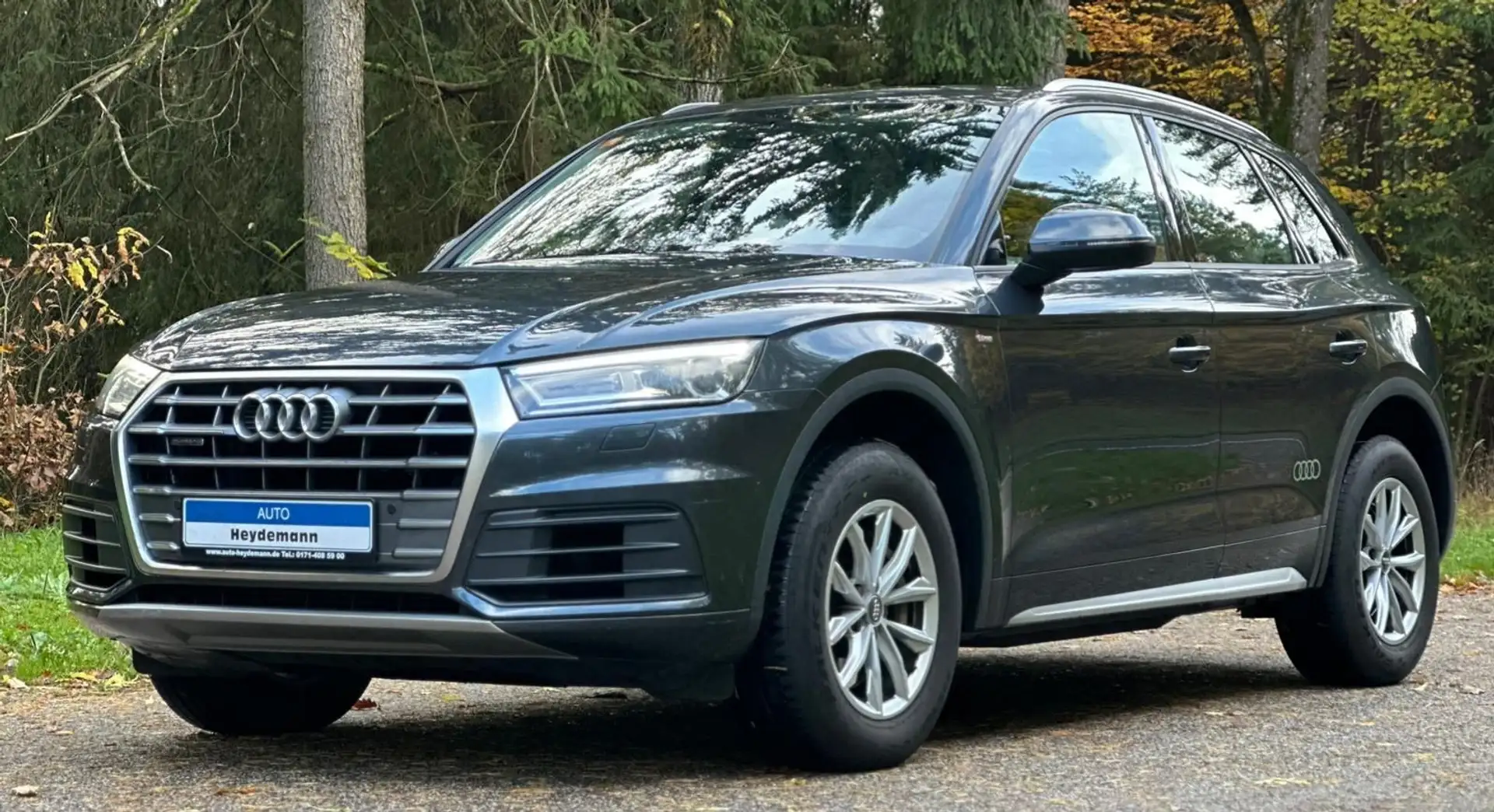 Audi Q5 quattro Sline 3.0TDI Leder LED Grau - 2