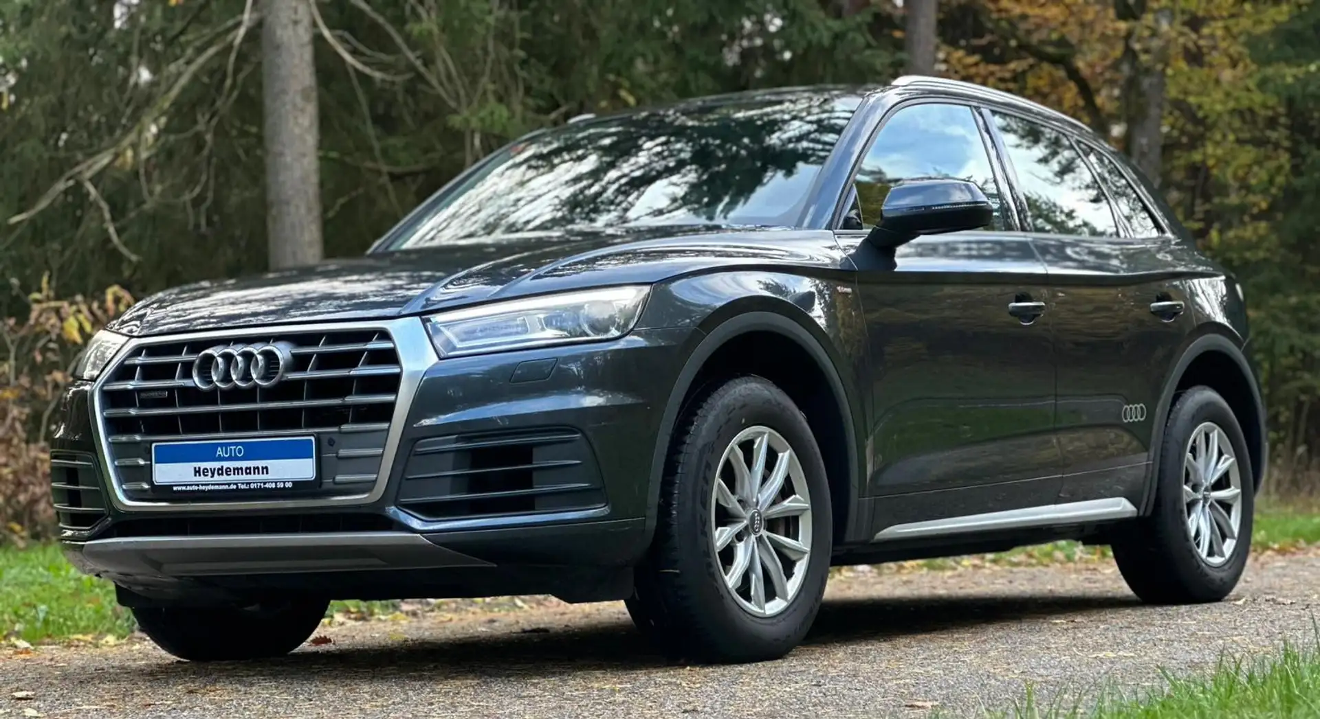 Audi Q5 quattro Sline 3.0TDI Leder LED Grau - 1