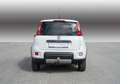 Fiat Panda 4x4 Weiß - thumbnail 6