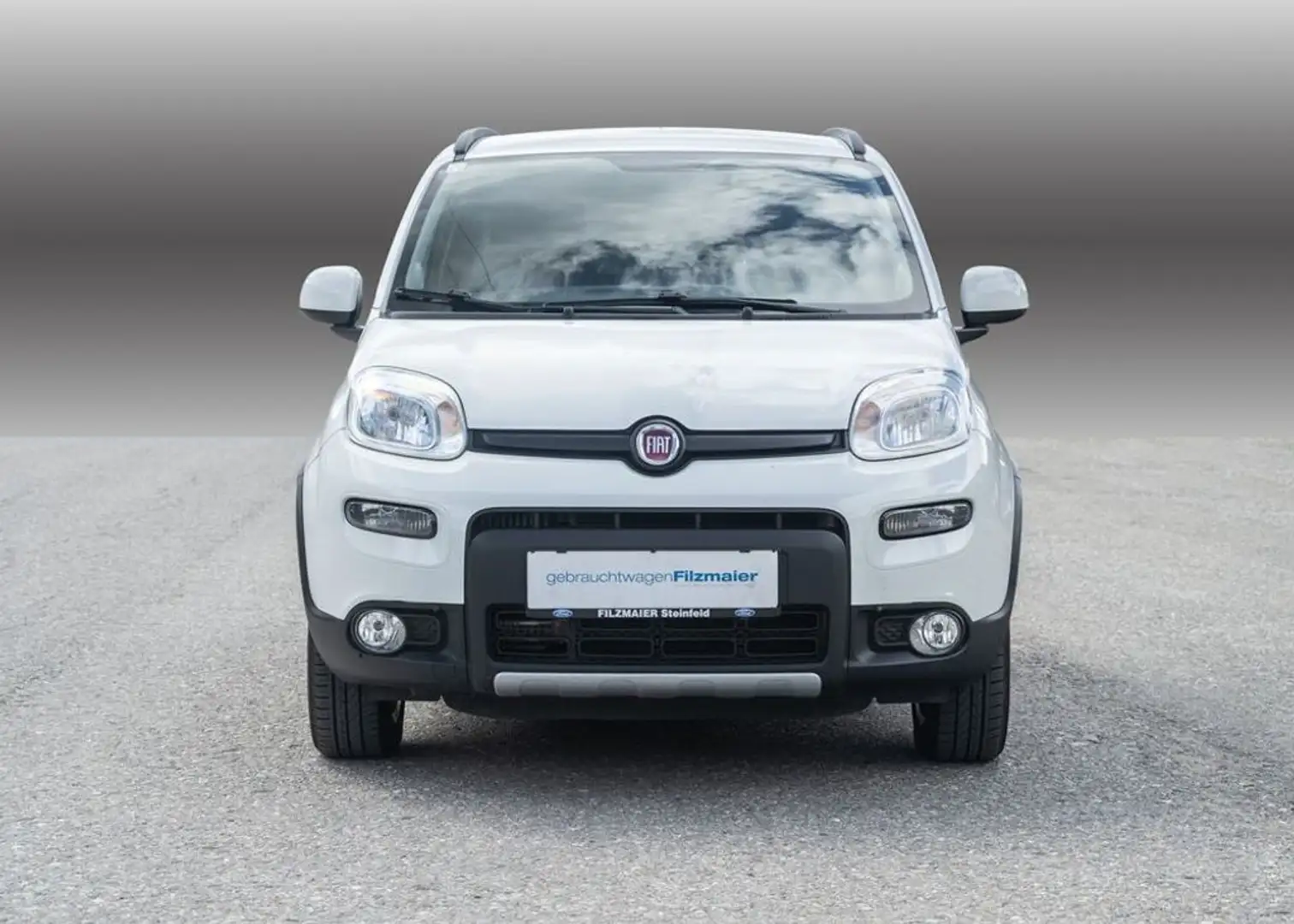 Fiat Panda 4x4 Weiß - 2