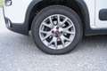 Fiat Panda 4x4 Weiß - thumbnail 9