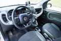 Fiat Panda 4x4 Weiß - thumbnail 10