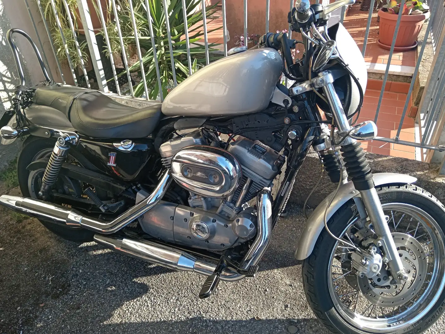 Harley-Davidson Sportster 883 siva - 1