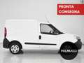 Fiat Doblo Doblò 1.3 MJT PC-TN Cargo Lamierato SX - thumbnail 4
