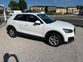 Audi Q2 1.6 tdi 116 CV Business s-tronic Blanc - thumbnail 7