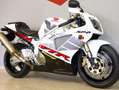 Honda VTR 1000 SP2 Blanco - thumbnail 3