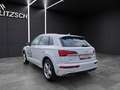 Audi Q5 40 TDI quattro S line Navi RearView Weiß - thumbnail 5