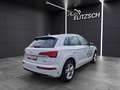 Audi Q5 40 TDI quattro S line Navi RearView Weiß - thumbnail 7