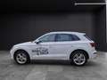 Audi Q5 40 TDI quattro S line Navi RearView Weiß - thumbnail 4