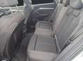 Audi Q5 40 TDI quattro S line Navi RearView Weiß - thumbnail 14