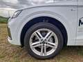 Audi Q5 40 TDI quattro S line Navi RearView Weiß - thumbnail 12