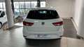 SEAT Leon 1.5 TGI GNC S&S Xcellence DSG7 130 Blanco - thumbnail 8