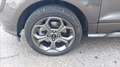 Ford EcoSport 1.0 ecoboost ST-Line s&s 125cv Grigio - thumbnail 15