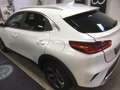 Kia XCeed XCeed 1.5 T-GDI OPF DCT7 VISION - thumbnail 13