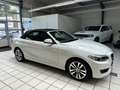 BMW 218 i Advantage Cabrio 2.Hand AHK-abnehmbar Klimaautom Fehér - thumbnail 14