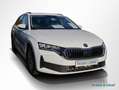 Skoda Octavia Combi 1.5 TSI Essence AHK Smart Link Weiß - thumbnail 2