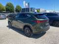 Lexus NX 300 350 Hybrid 4WD Premium Vert - thumbnail 4