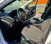 Ford Focus Traveller Van Titanium 1,0 EcoBoost Weiß - thumbnail 11