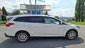Ford Focus Traveller Van Titanium 1,0 EcoBoost Weiß - thumbnail 4