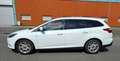 Ford Focus Traveller Van Titanium 1,0 EcoBoost Weiß - thumbnail 5