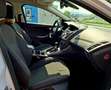 Ford Focus Traveller Van Titanium 1,0 EcoBoost Weiß - thumbnail 12