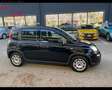 Fiat Panda III 2021 1.0 firefly hybrid s&s 70cv 5p.ti Azul - thumbnail 13