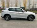 Alfa Romeo Stelvio 2.2 TD 190 cv AT8 Q4 Business Bianco - thumbnail 6