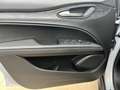 Alfa Romeo Stelvio 2.2 TD 190 cv AT8 Q4 Business Bianco - thumbnail 14