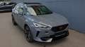 CUPRA Formentor 2.0 TSI VZ 4D DSG *Brembo*Pano/360* Grau - thumbnail 2