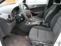 Mercedes-Benz B 220 d Ambition AUT AC  ENGINE DEFECT  **EX-POLITIE Weiß - thumbnail 11