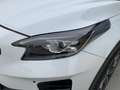 Kia XCeed 1.6 CRDi 136 CV MHEV iMT Style Bianco - thumbnail 4