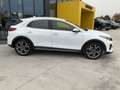 Kia XCeed 1.6 CRDi 136 CV MHEV iMT Style Bianco - thumbnail 5