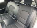 Kia XCeed 1.6 CRDi 136 CV MHEV iMT Style Bianco - thumbnail 10