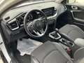 Kia XCeed 1.6 CRDi 136 CV MHEV iMT Style Bianco - thumbnail 15