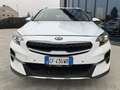 Kia XCeed 1.6 CRDi 136 CV MHEV iMT Style Bianco - thumbnail 2