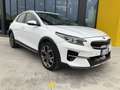 Kia XCeed 1.6 CRDi 136 CV MHEV iMT Style Bianco - thumbnail 1