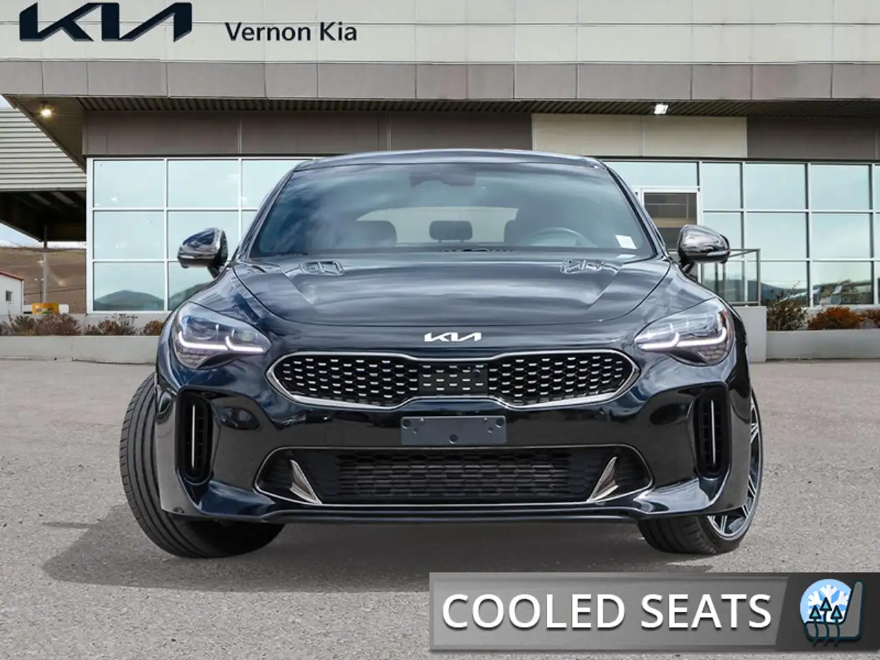Kia Stinger photo Kia Stinger