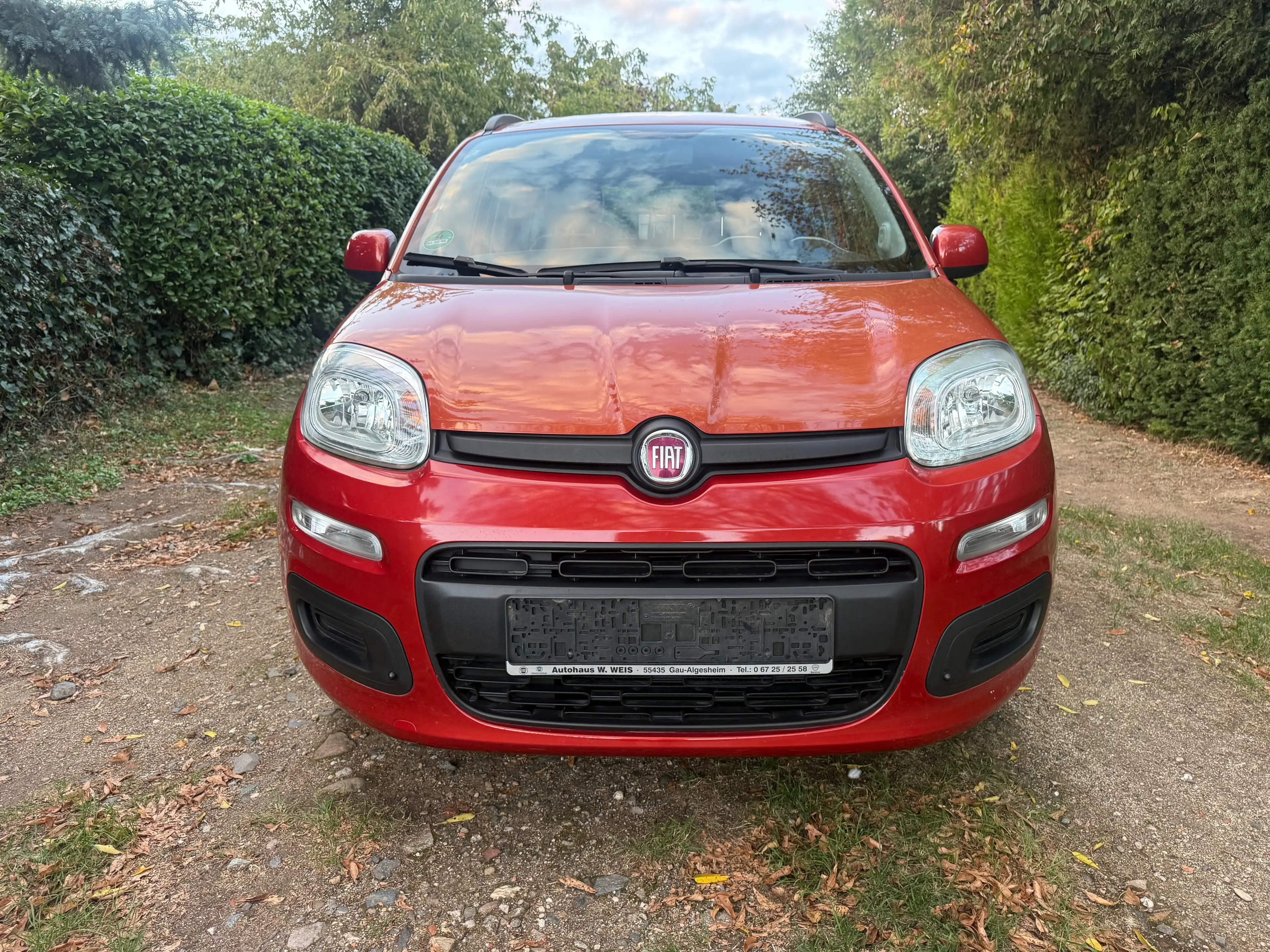 Fiat Panda Lounge Beheizbare Scheibe,NavigationTÜV NEU — photo 10