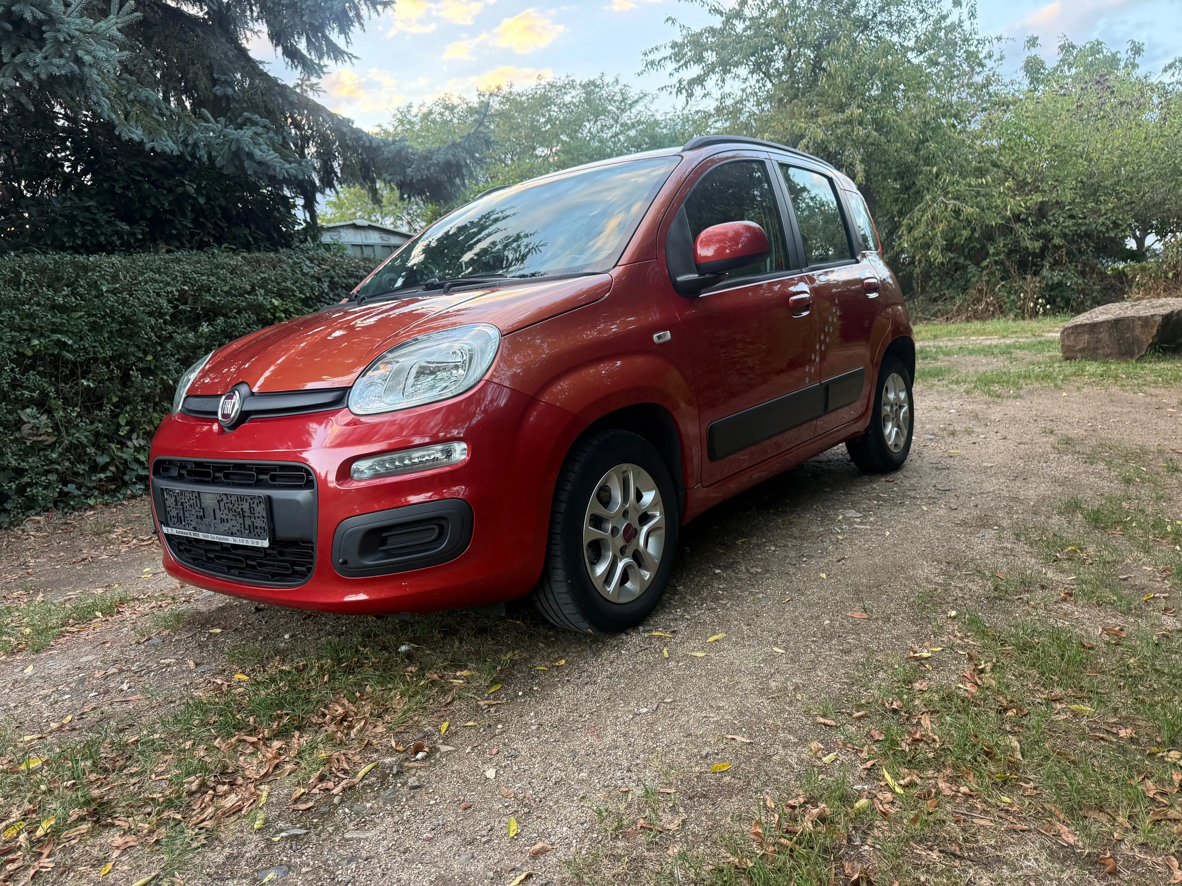 Fiat Panda Lounge Beheizbare Scheibe,NavigationTÜV NEU