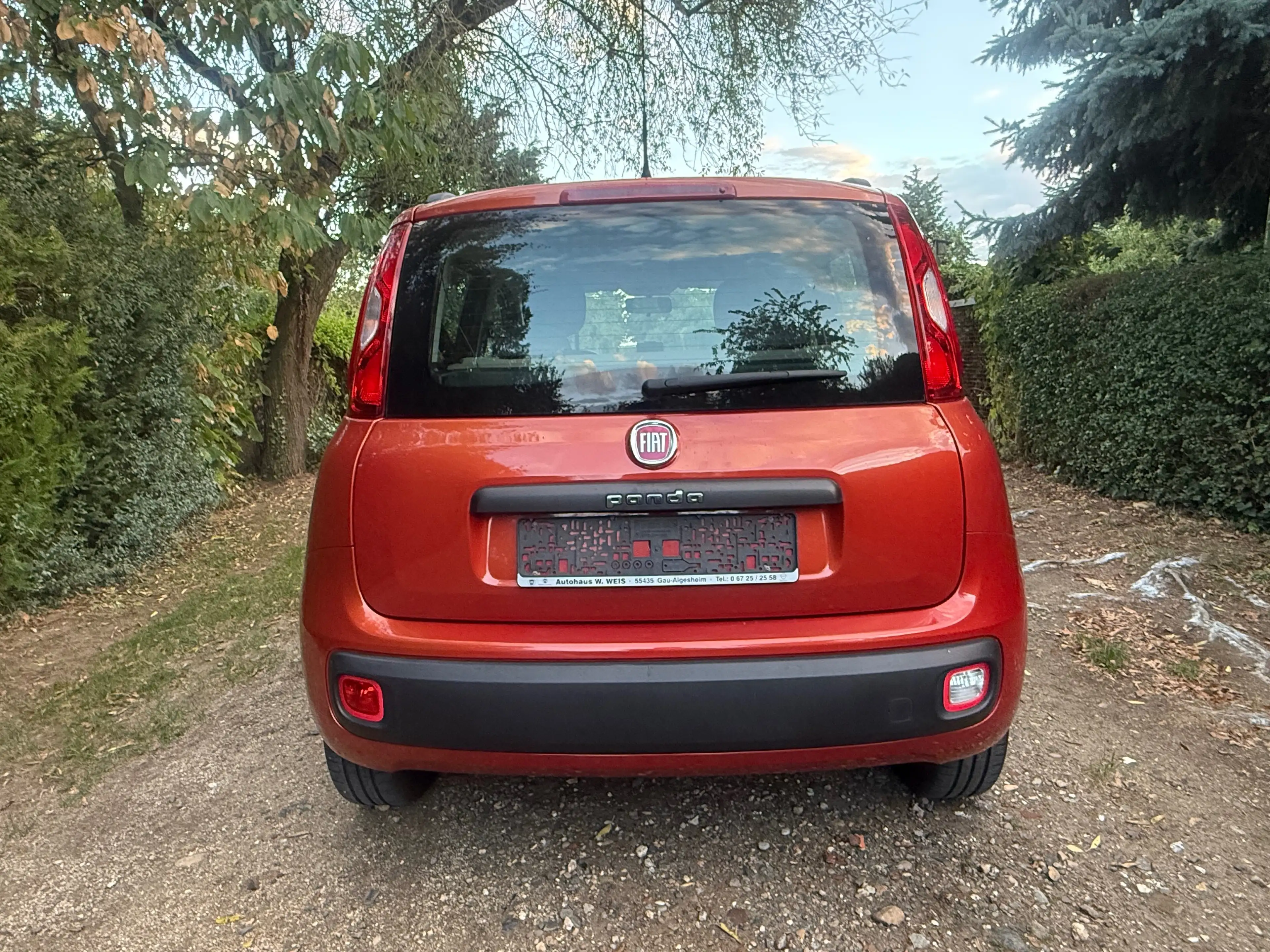 Fiat Panda Lounge Beheizbare Scheibe,NavigationTÜV NEU — photo 4